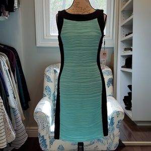 NWT Calven Klein dress size 10